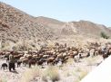 گزارش تصویری اردوی کارکنان دانشگاه 